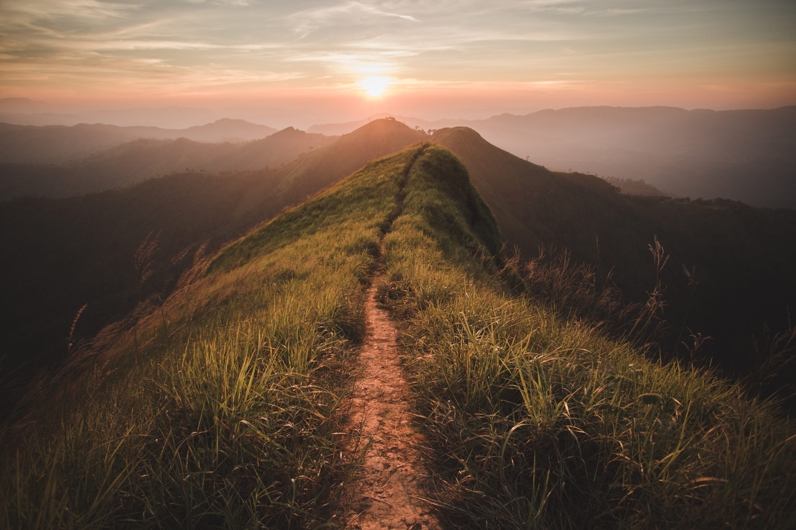 How do corporate travel policies help reduce the carbon footprint?